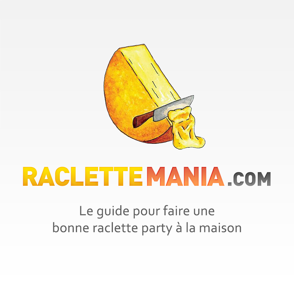 Raclette LAGRANGE 149 003 EVOLUTION + 2 grands poelons